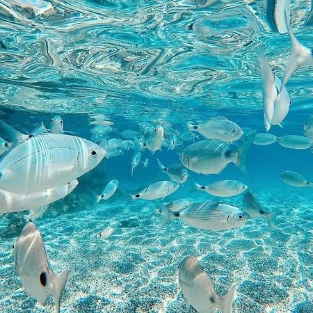 Apartament El Playaiso De Aguamarga Agua Amarga  Zewnętrze zdjęcie